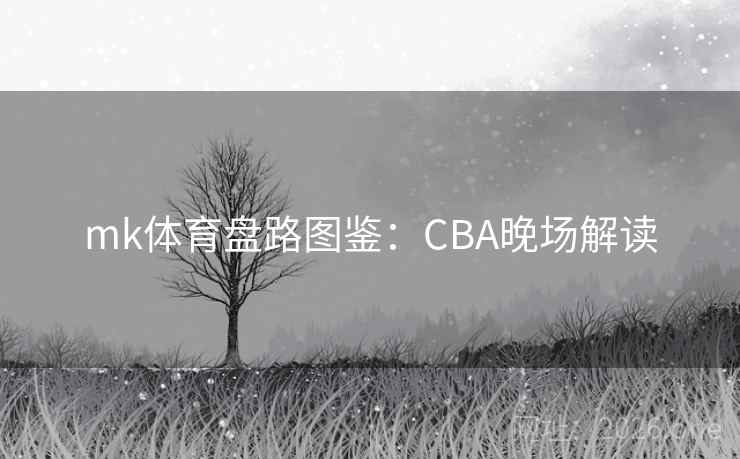 mk体育盘路图鉴:CBA晚场解读 mk体育盘路图鉴:CBA晚场解读