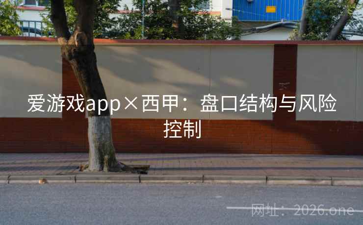 爱游戏app×西甲：盘口结构与风险控制