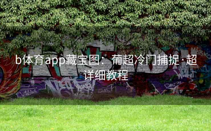 b体育app藏宝图：葡超冷门捕捉·超详细教程